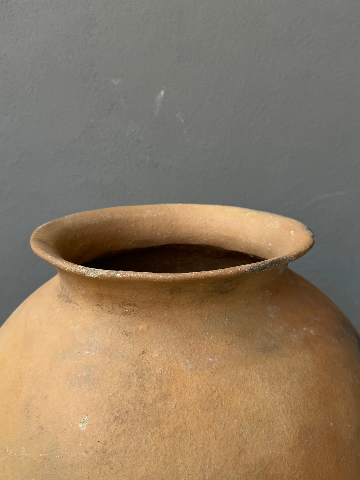 Ceramic Water Pot From The Sierra Norte Region Of Puebla/ Olla De La Sierra Norte De Puebla